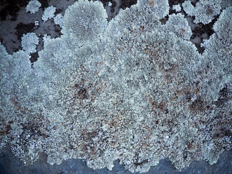 Wallpaper with fencing on stony ground