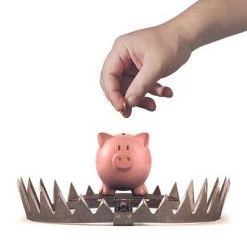 Piggy bank in the bear trap on white background.