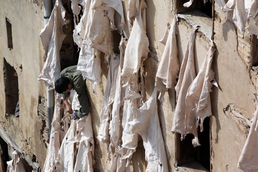The Leather production in the old City in the historical Town of Fes in Morocco in north Africa.