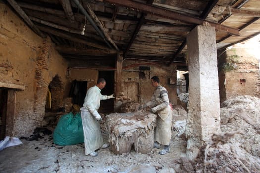 The Leather production in the old City in the historical Town of Fes in Morocco in north Africa.