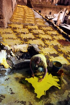 The Leather production in the old City in the historical Town of Fes in Morocco in north Africa.