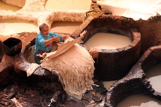 The Leather production in the old City in the historical Town of Fes in Morocco in north Africa.