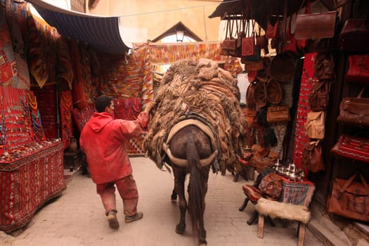 a smal Marketroad in the Medina of old City in the historical town of Fes in Morocco in north Africa.