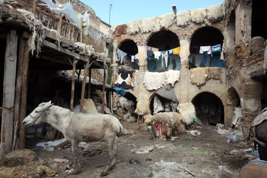 The Leather production in the old City in the historical Town of Fes in Morocco in north Africa.