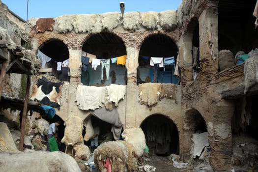 The Leather production in the old City in the historical Town of Fes in Morocco in north Africa.