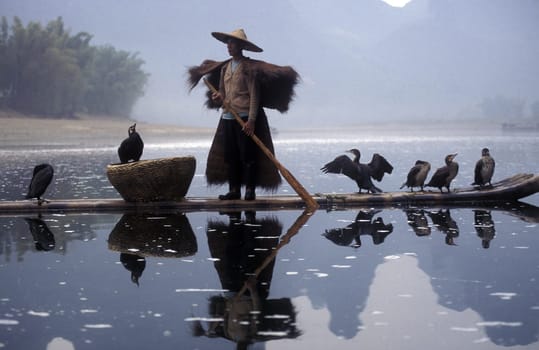 the landscape at the Li River near Yangshou near the city of Guilin in the Province of Guangxi in china in east asia.
