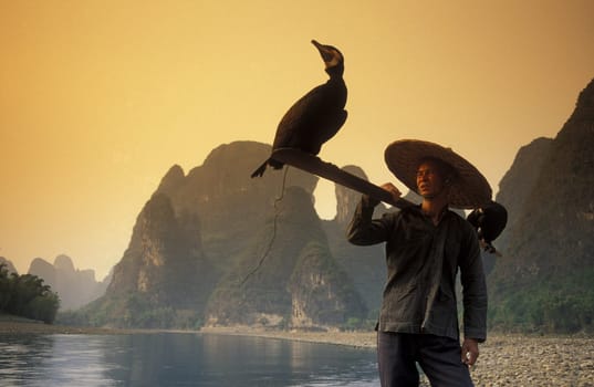 the landscape at the Li River near Yangshou near the city of Guilin in the Province of Guangxi in china in east asia.