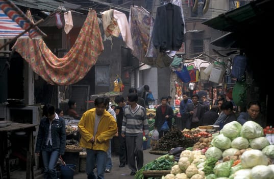 a market street in the city of Chongqing in the province of Sichuan in china in east asia.