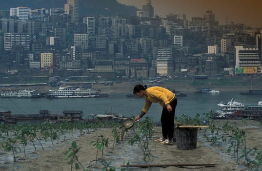 agroculture in the village of fengjie at the yangzee river in the three gorges valley up of the three gorges dam project in the province of hubei in china.