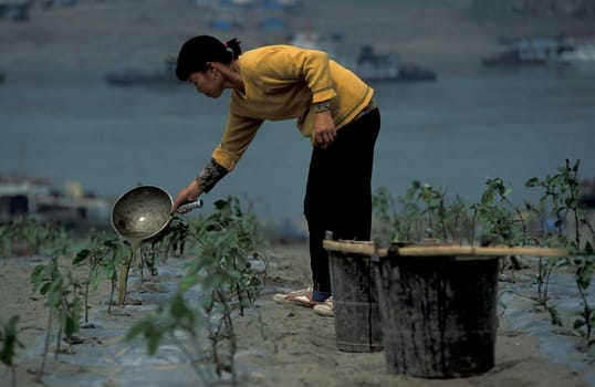 agroculture in the village of fengjie at the yangzee river in the three gorges valley up of the three gorges dam project in the province of hubei in china.