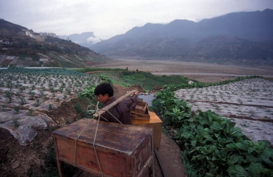 agroculture in the village of fengjie at the yangzee river in the three gorges valley up of the three gorges dam project in the province of hubei in china.