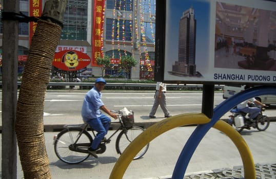 the skyline of Pudong in the City of Shanghai in china in east asia.