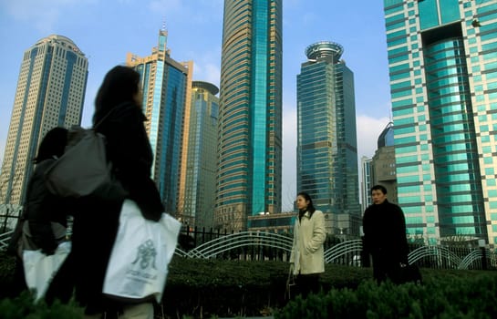 the skyline of Pudong in the City of Shanghai in china in east asia.