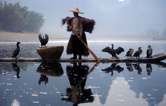 the landscape at the Li River near Yangshou near the city of Guilin in the Province of Guangxi in china in east asia.