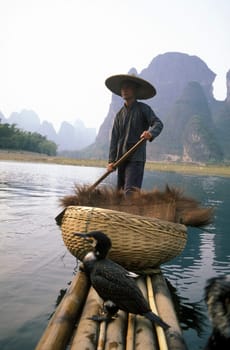 the landscape at the Li River near Yangshou near the city of Guilin in the Province of Guangxi in china in east asia.