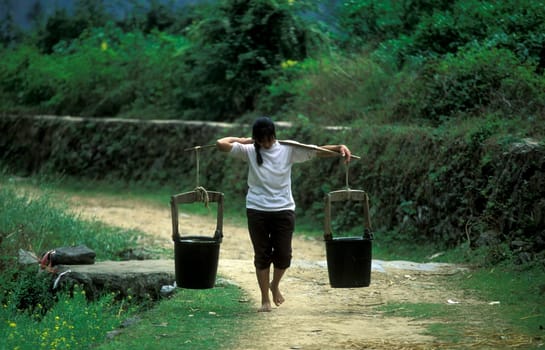 a woman with water at the farmland near the town of Yangshou near the city of Guilin in the Province of Guangxi in china in east asia.