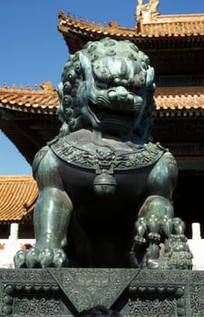 the forbidden city in the city of beijing in the east of china in east asia.