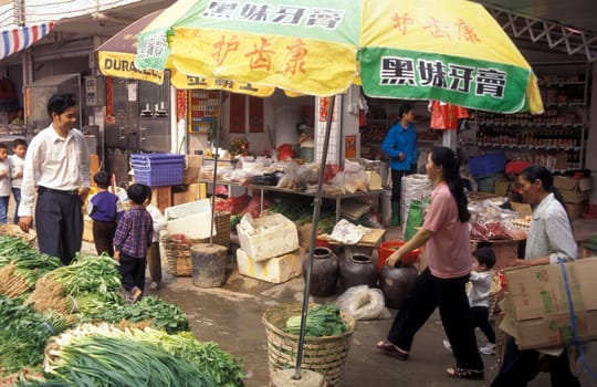a market in the city of Shenzhen north of Hong Kong in the province of Guangdong in china in east asia.