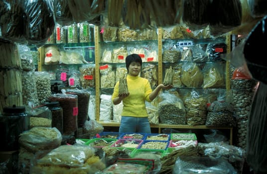 the Market in the city of Canton or Guangzhou in the north of Hongkong in the province of Guangdong in china in east asia.