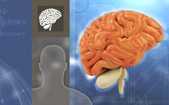 Digital illustration of brain in colour background