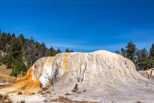 View of the Orange Mound formation in Mammoth Hot Springs in Yellowstone National Park