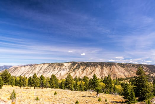 Beautiful landscape near Mammoth Hot Springs in Yellowstone National Park