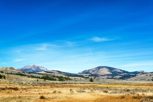Field and hills landscape in Yellowstone National Park