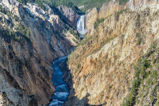 View of Lower Yellowstone Falls in Yellowstone National Park