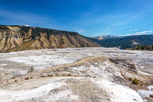Barren wasteland with lush forested hills in the background in Yellowstone National Park