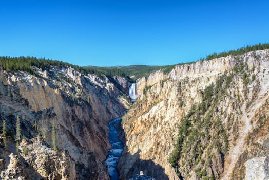 Wide angle view of Lower Yellowstone Falls in Yellowstone National Park
