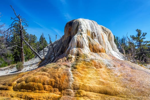 View of the Orange Mound at Mammoth Hot Springs in Yellowstone National Park