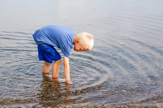 A little boy goes with his feet in the water on the beach and looking for clams and crabs