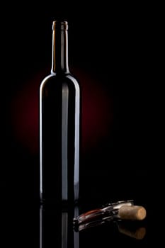 spanish famous red wine bottle from La Rioja