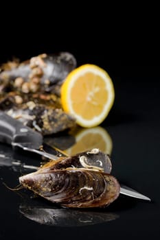 dark image of mollusks and lemon with nice reflection