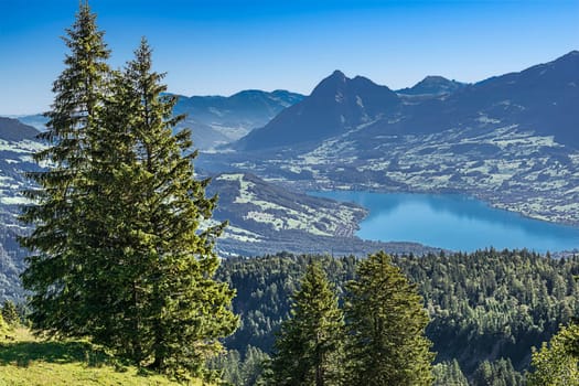 View to the Alpnachersee and the Stanserhorn and Pilatusgrat