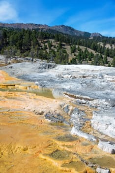 Vertical view of travertine terraces at Mammoth Hot Springs in Yellowstone National Park