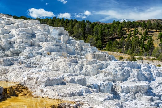 White travertine terraces in Yellowstone National Park at Mammoth Hot Springs