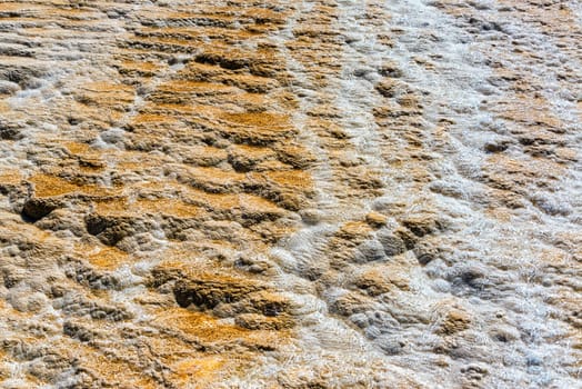 Closeup view of water running over a terrace at Mammoth Hot Springs in Yellowstone National Park