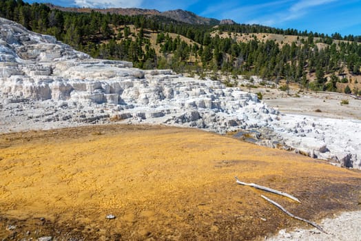 Terraces at Mammoth Hot Springs in Yellowstone National Park