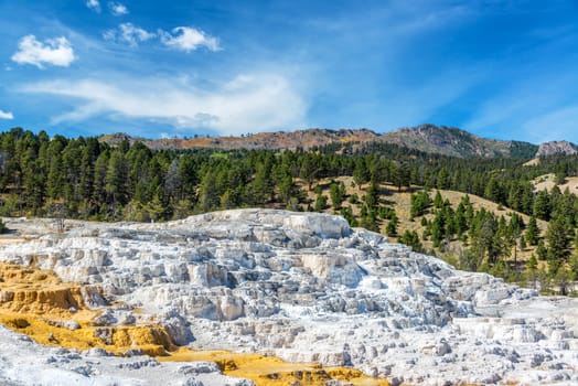 White travertine terraces and beautiful landscape at Mammoth Hot Springs in Yellowstone National Park