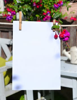Sheet of paper on clothesline in front of colorful flowers