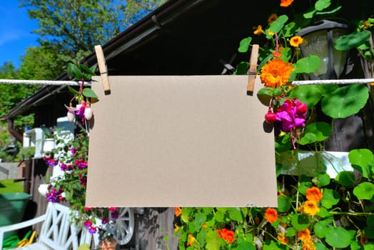 Sheet of paper on clothesline in front of colorful flowers