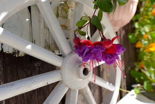 Garden hut in summer with lots of flowers
