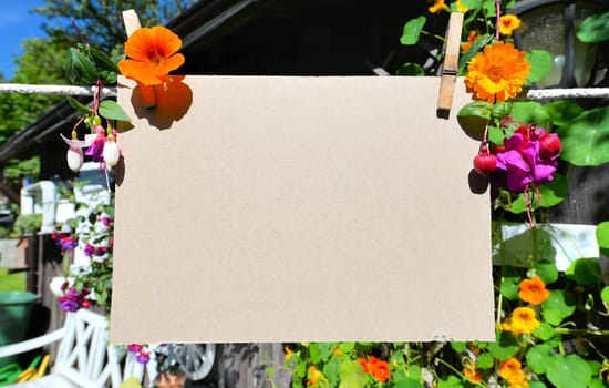 Sheet of paper on clothesline in front of colorful flowers