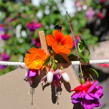 Sheet of paper on clothesline in front of colorful flowers