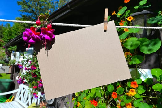 Sheet of paper on clothesline in front of colorful flowers