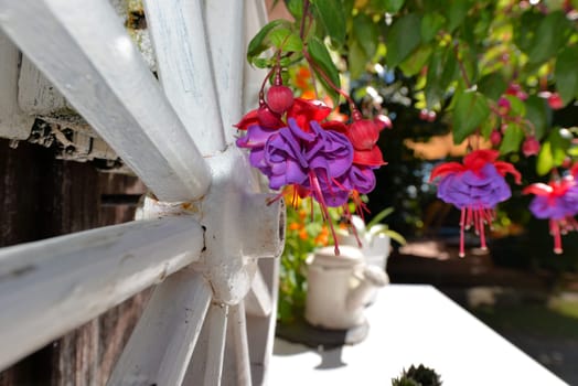 Garden hut in summer with lots of flowers