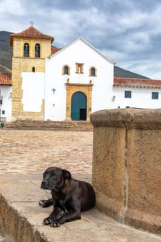 Dog in the plaza of Villa de Leyva, Colombia with the town church in the background