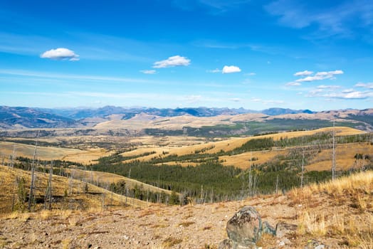 Landscape in Yellowstone National Park as seen near Mount Washburn