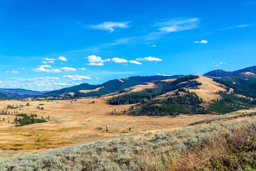 Beautiful landscape of a valley and hills in Yellowstone National Park